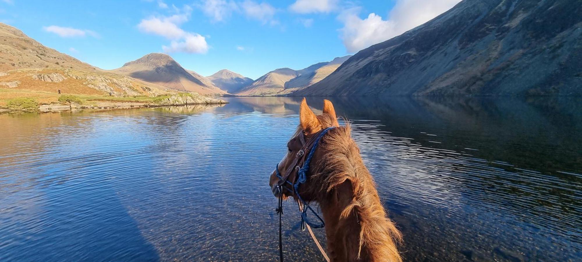 Scafell Cottage On The Big "W" Ranch Nether Wasdale エクステリア 写真